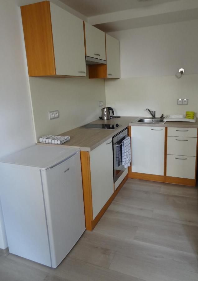 Apartman Karovi Destne v Orlickych horach Εξωτερικό φωτογραφία